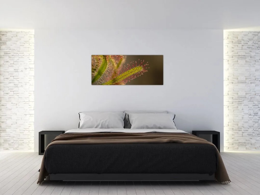 Tablou cu plantă (120x50 cm)