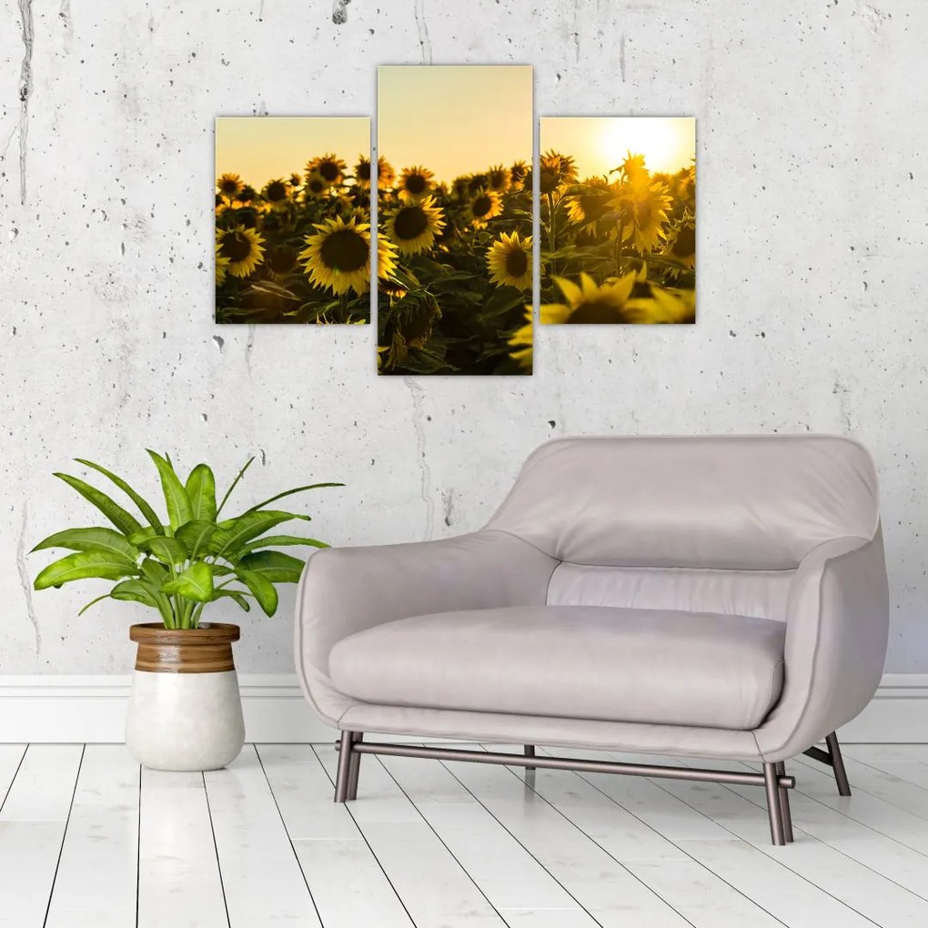 Tablou cu lan de floarea soarelui (90x60 cm)