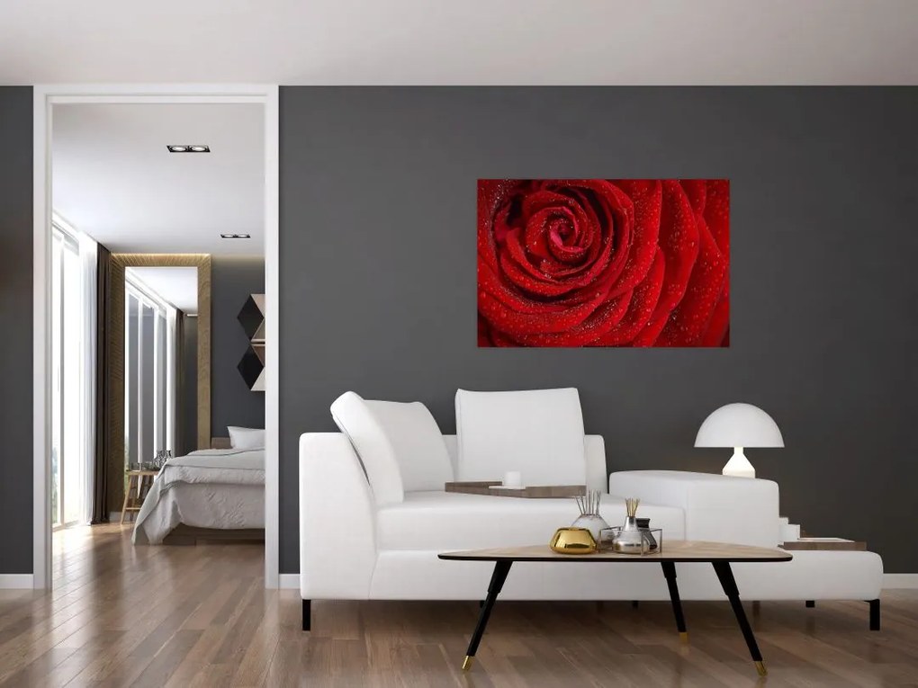 Tablou - detaliu de trandafir (90x60 cm)