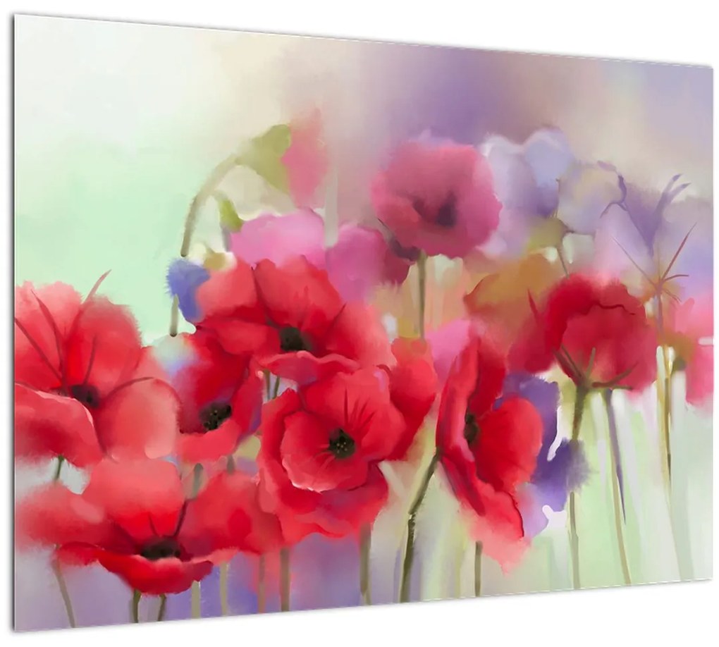 Tablou - Maci (70x50 cm)