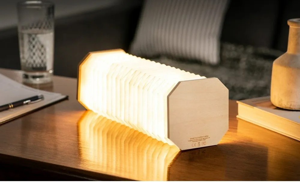 Decorațiune luminoasă în culoare naturală cu USB Accordion – Gingko