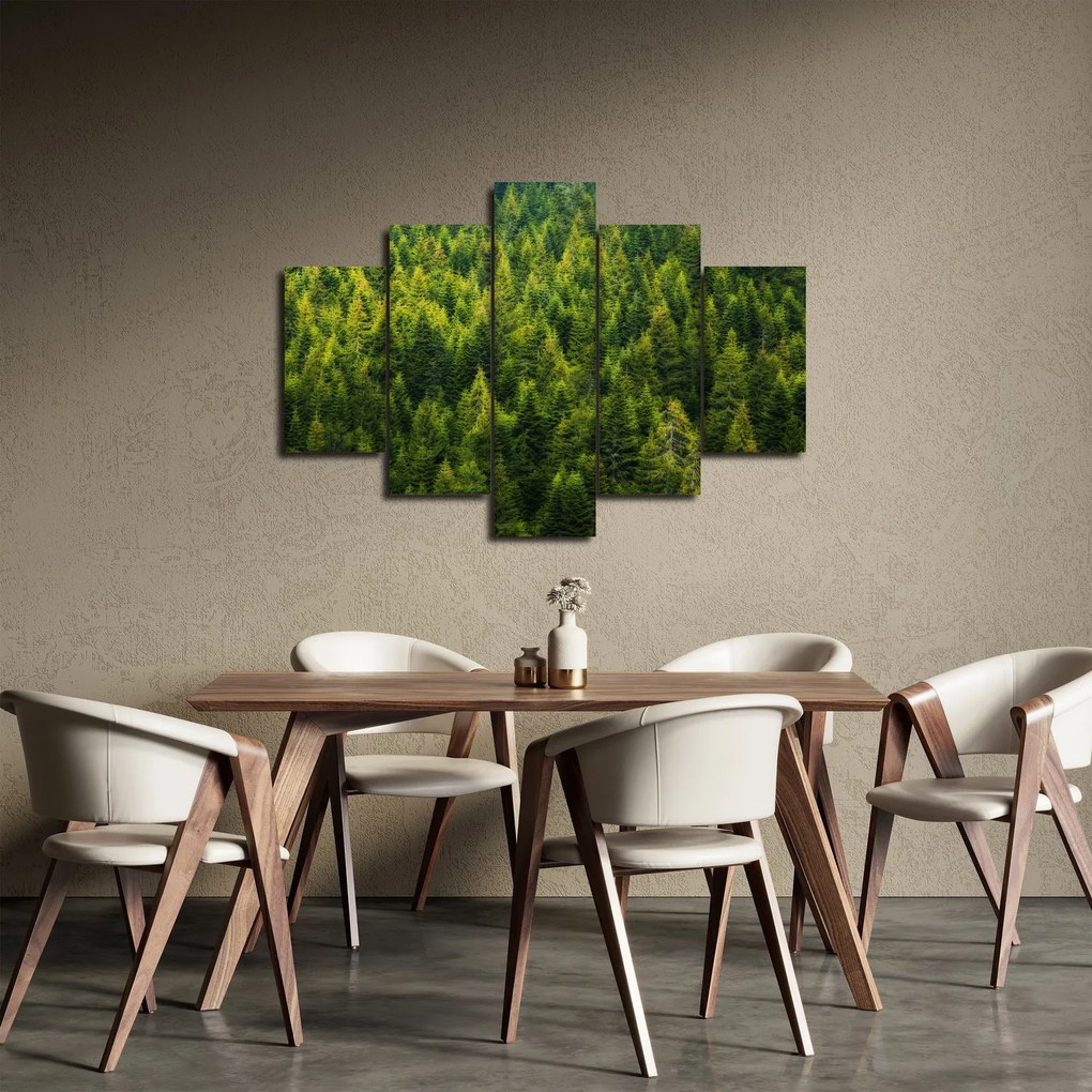 Tablou - Pădure deasă (150x105 cm)
