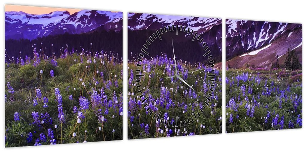 Tablou - Vulcan și flori (cu ceas) (90x30 cm)