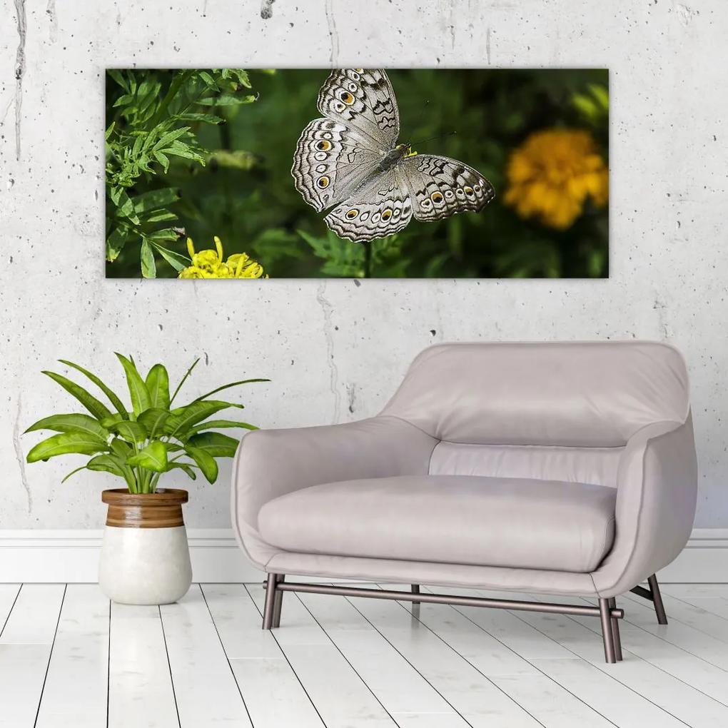 Tablou - fluture alb (120x50 cm), în 40 de alte dimensiuni noi