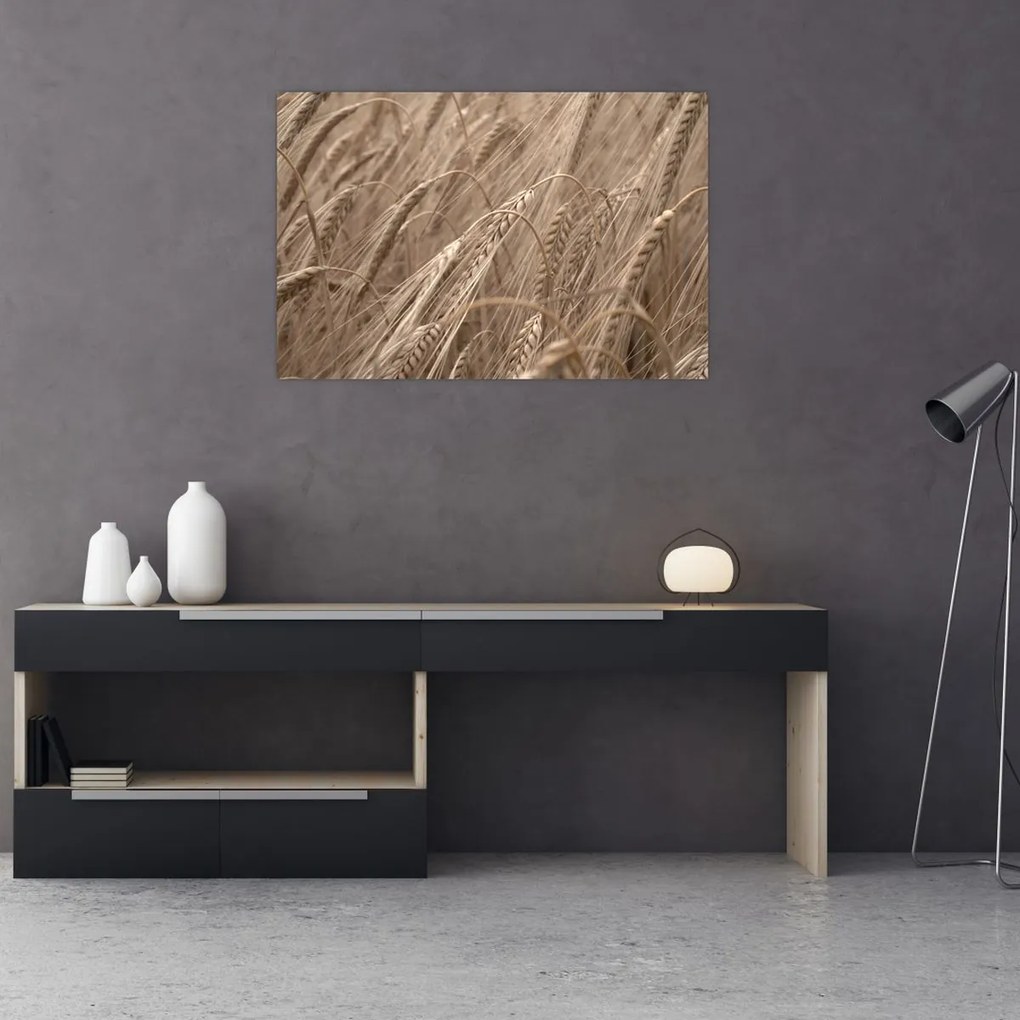 Tablou - Câmpul de aur (90x60 cm)