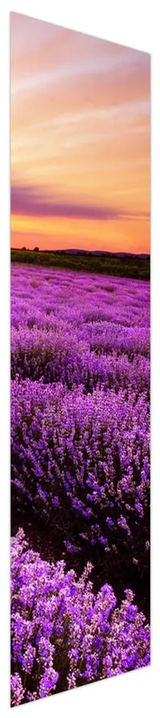 Fotojaluzele R012174R42150 (42x150 cm)