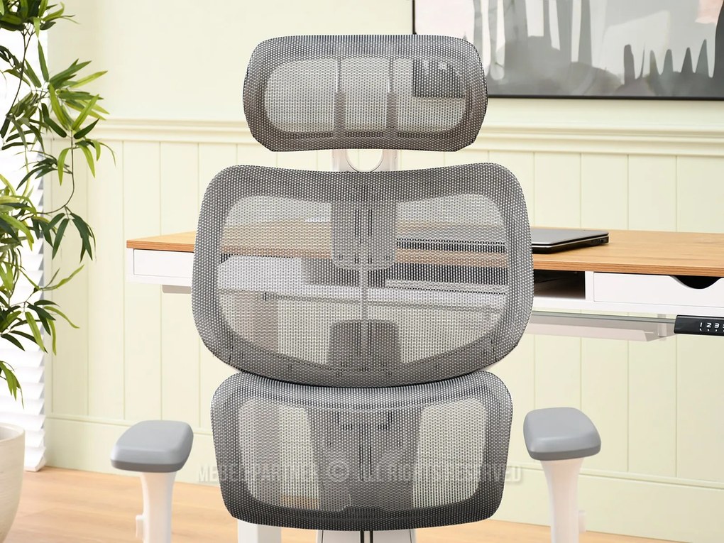 Scaun Horst (gri). Promo -10%. 1110511
