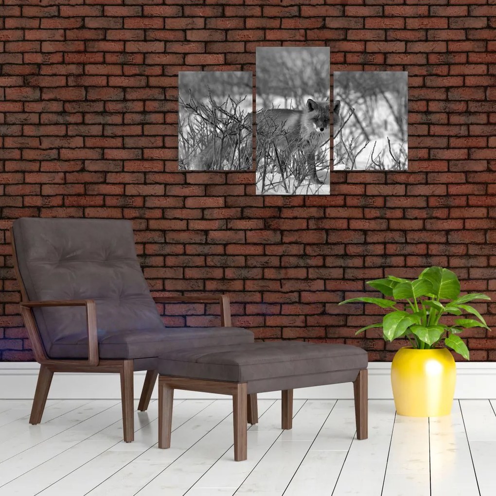 Tablou - Vulpe în timpul iernii (90x60 cm)