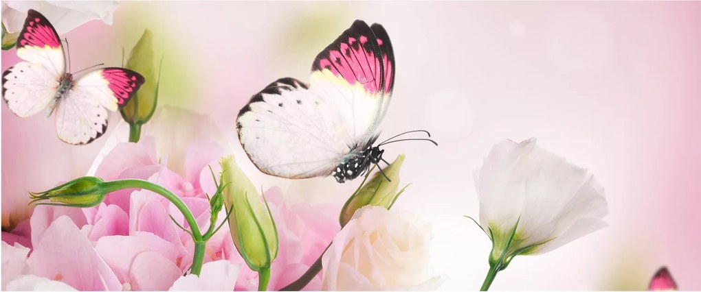 Tablou - Fluturele (120x50 cm)