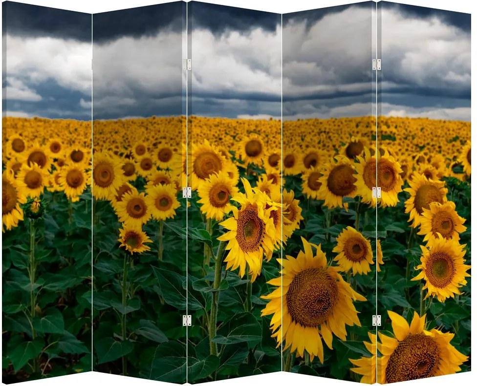 Paravan - Câmpul de floarea soarelui (210x170 cm)
