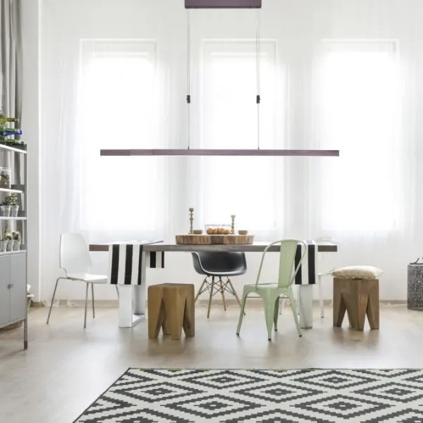 Lustră LED dimabilă pe cablu Paul Neuhaus 2568-24 ADRIANA LED/14W/230V