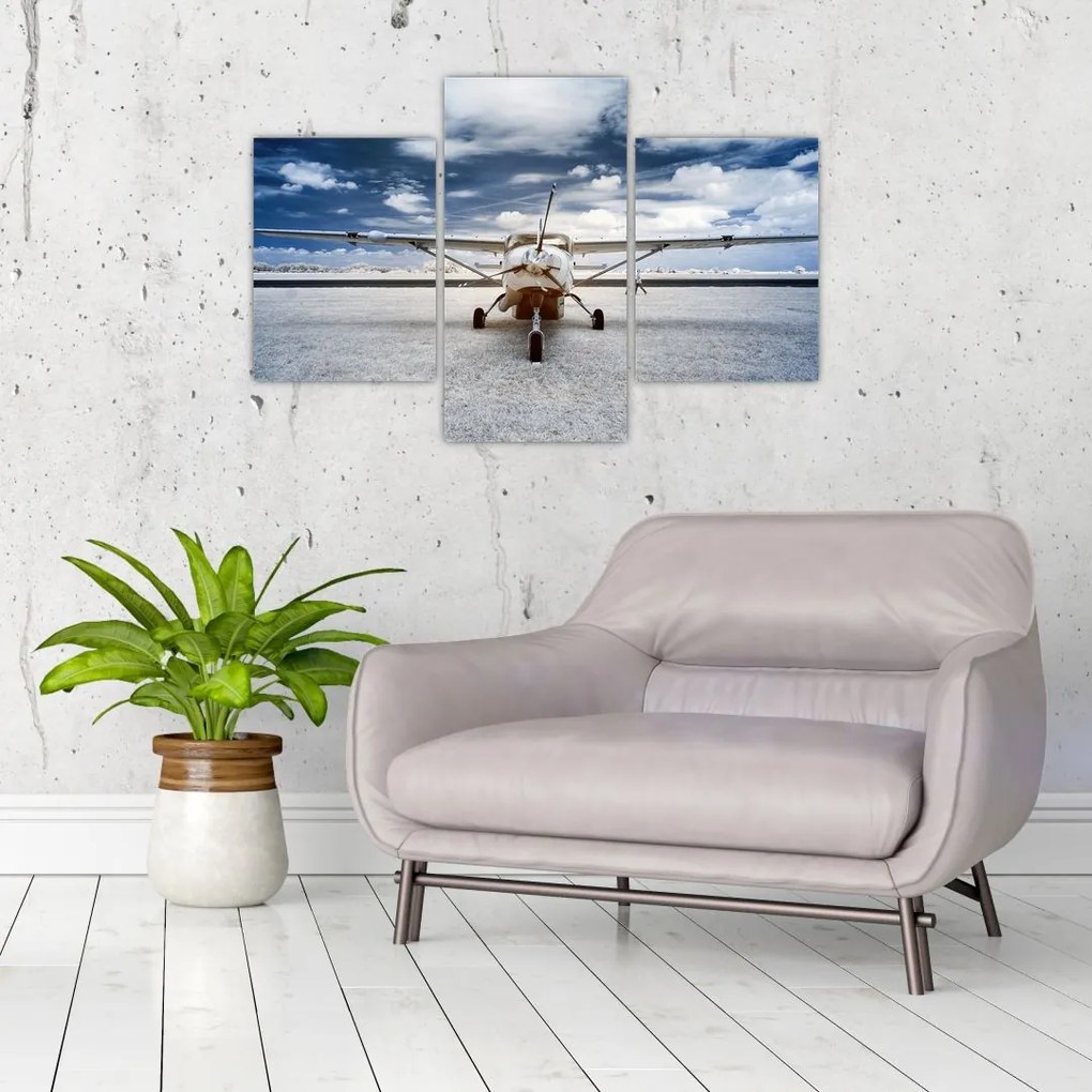 Tablou cu aeroplan cu motor (90x60 cm)