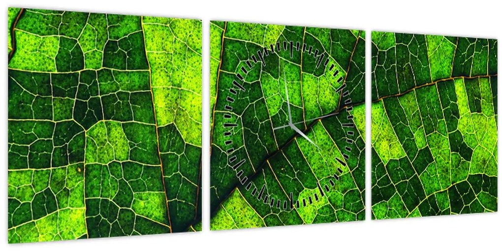 Tablou - Detaliu frunze (cu ceas) (90x30 cm)