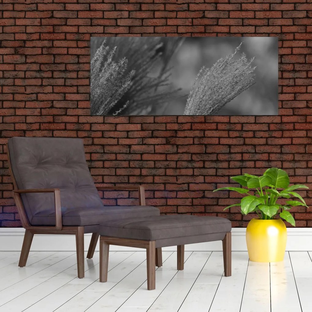 Tablou - Iarbă de pampas uscată (120x50 cm)