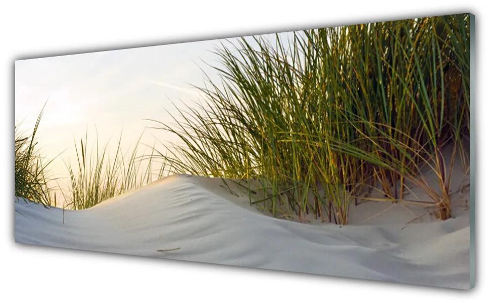 Tablouri acrilice Nisip Iarbă Peisaj Gri Verde