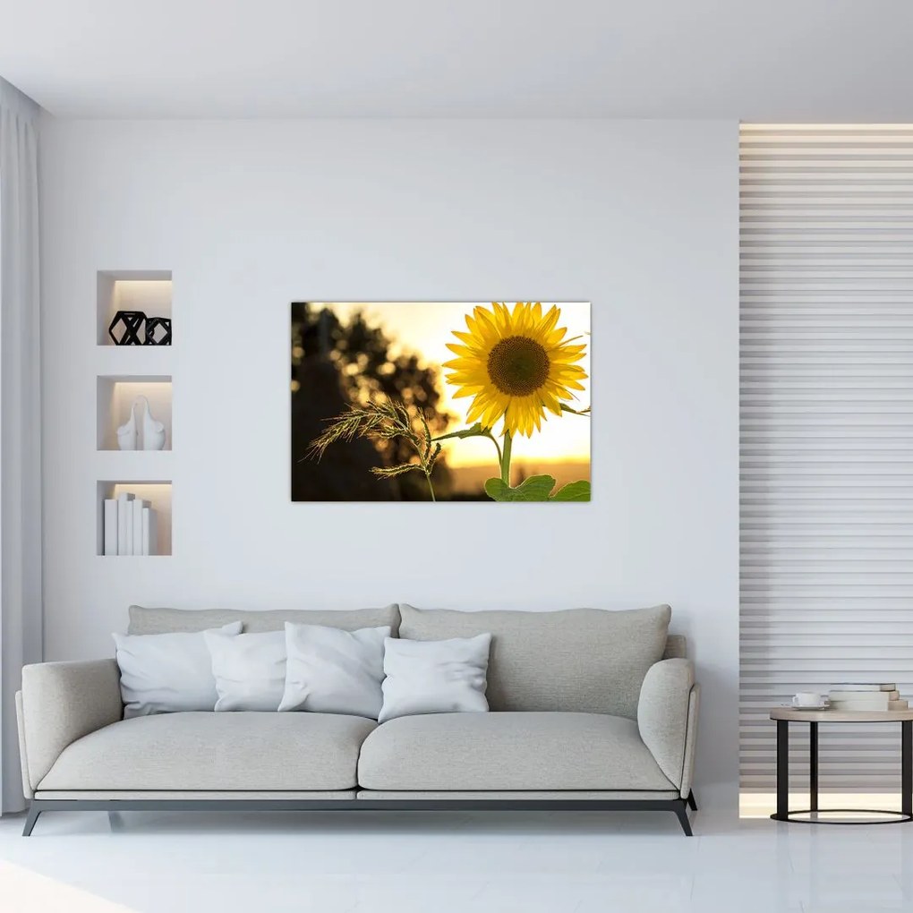 Tablou cu floarea soarelui (90x60 cm)