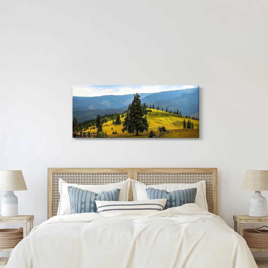 Tablou - Lunca de munte (120x50 cm)