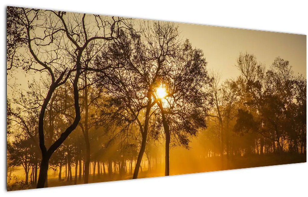 Tablou cu răsăsrit de soare (120x50 cm)