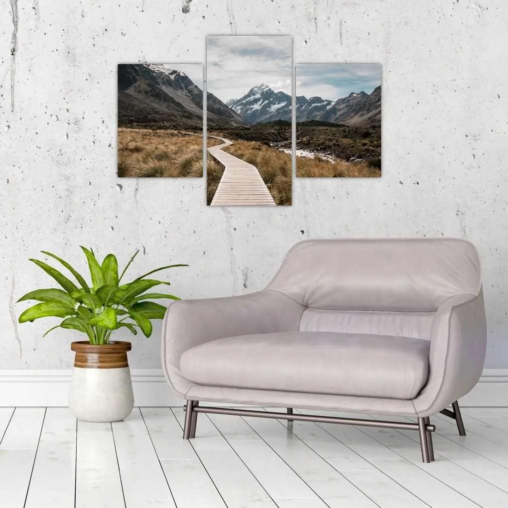 Tablou - Poteca în valea muntelui Mt. Cook (90x60 cm)