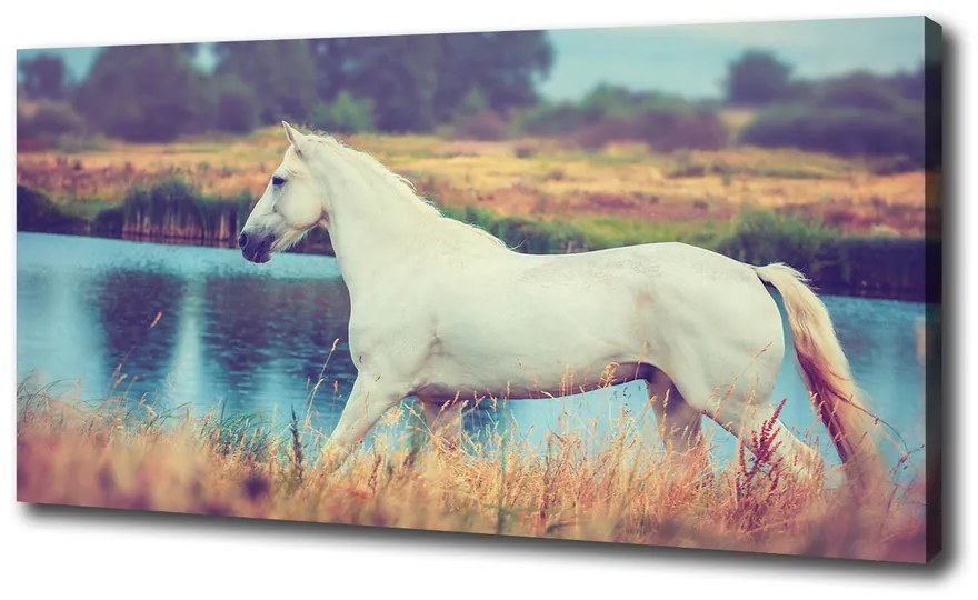 Tablou canvas White lake horse