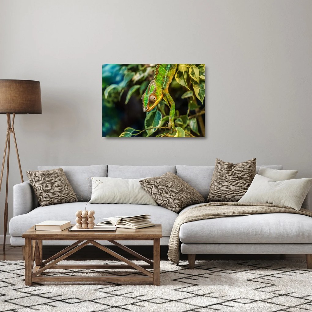 Tablou pe sticlă cu cameleon (70x50 cm)