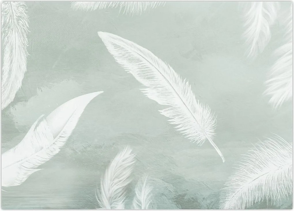 Tablou - Pene albe (70x50 cm)