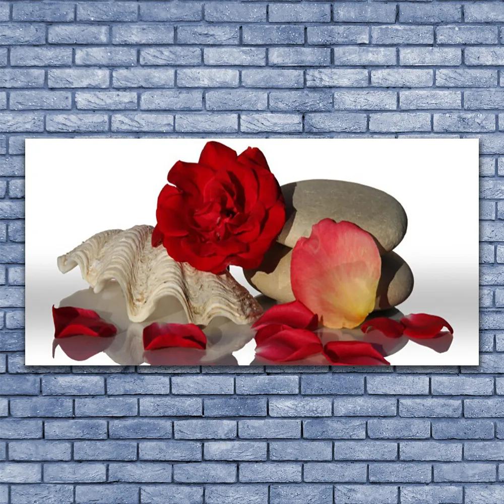 Tablouri acrilice Rose Conch pietre Art Roșu Alb Gri