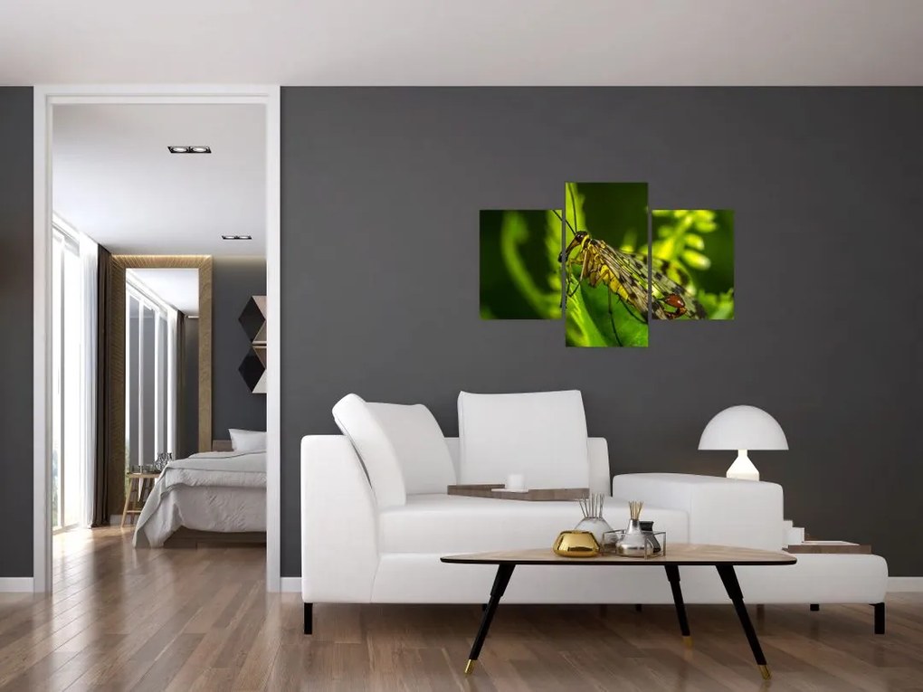 Tablou cu omide (90x60 cm)