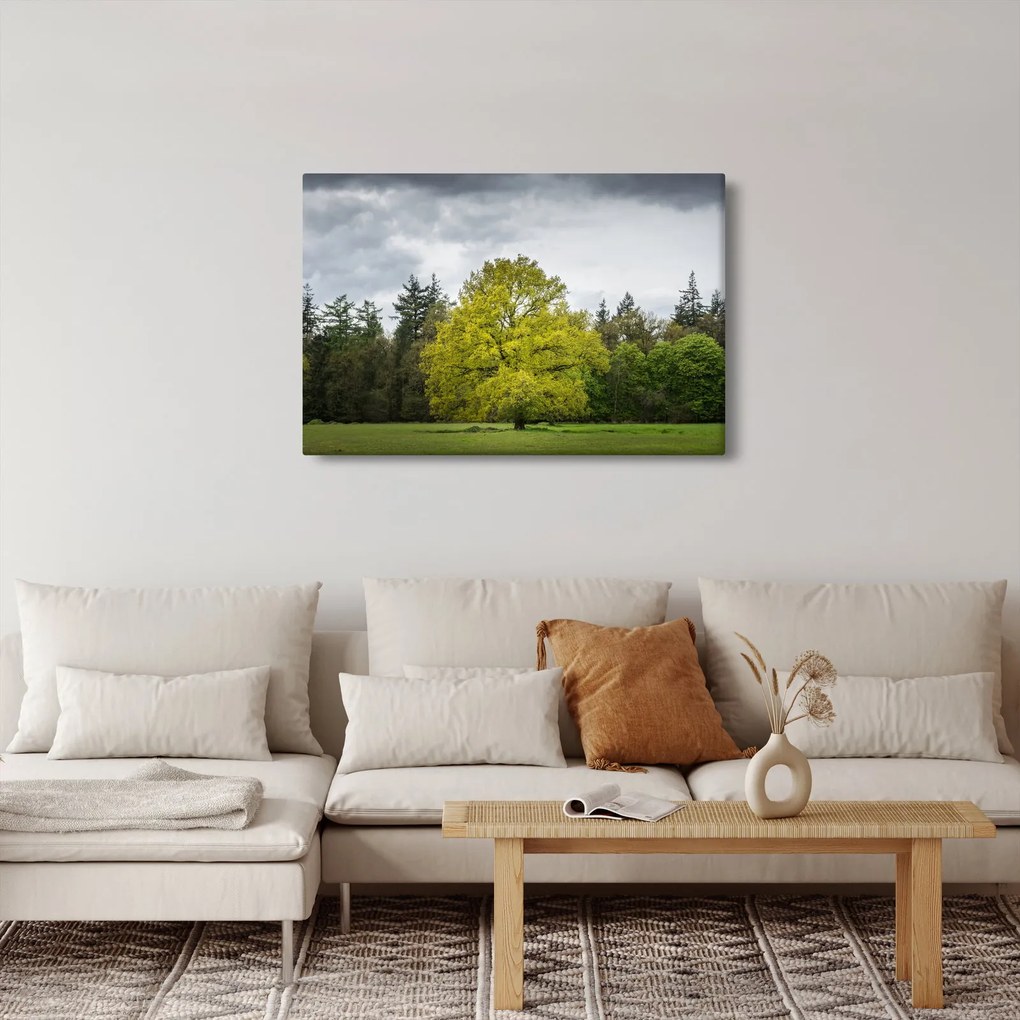 Tablou - Copac verde în câmp (90x60 cm)