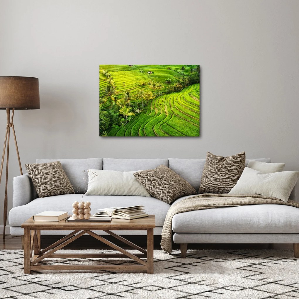 Tablou - Terase de orez (70x50 cm)