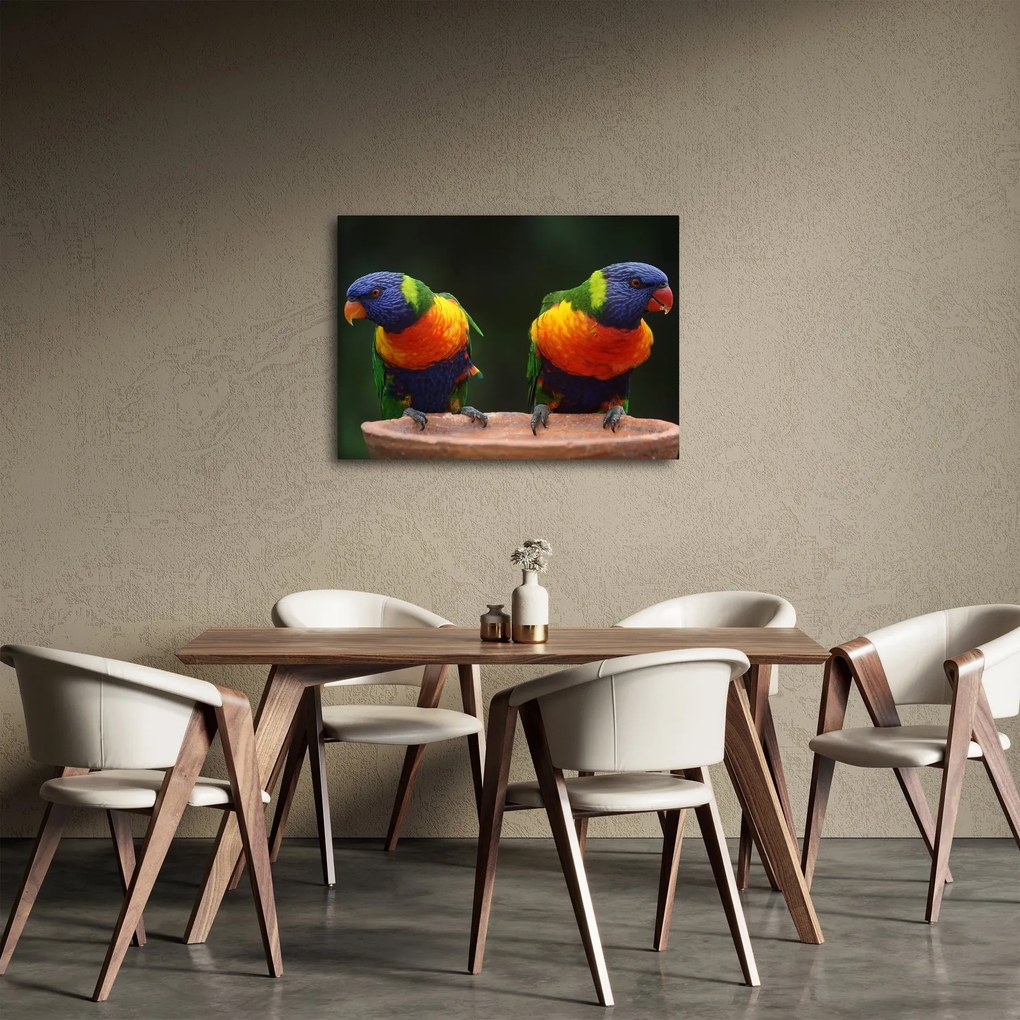 Tablou cu papagali (70x50 cm)