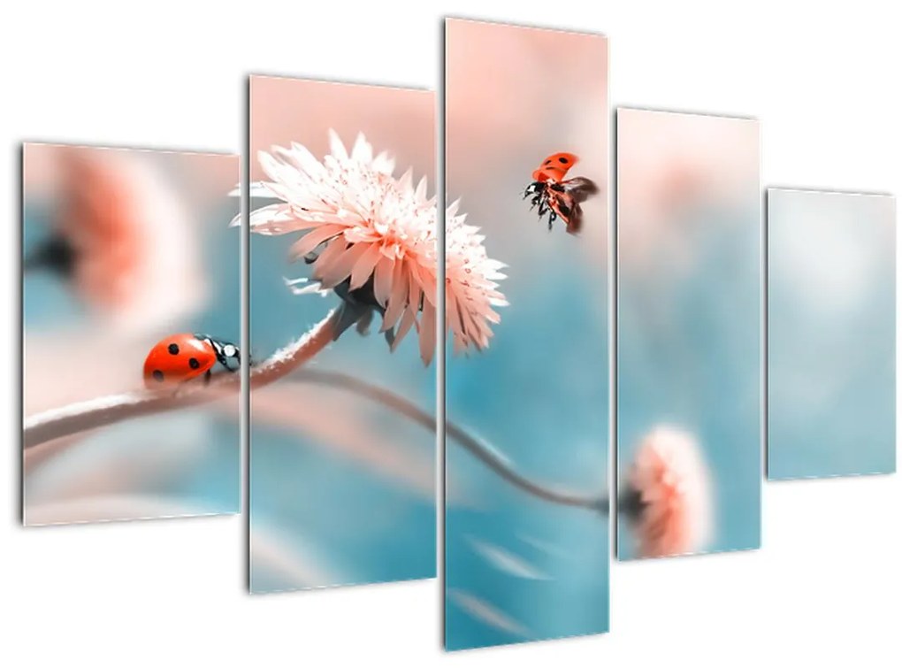 Tablou - Buburuze pe floare (150x105 cm)