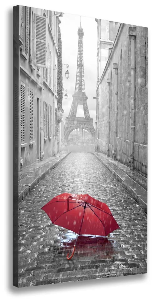 Pictură pe pânză Umbrelă Franța