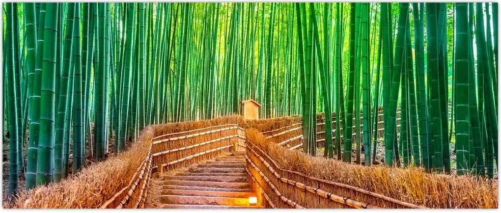 Tablou - Pădure de bambus japoneză (120x50 cm)