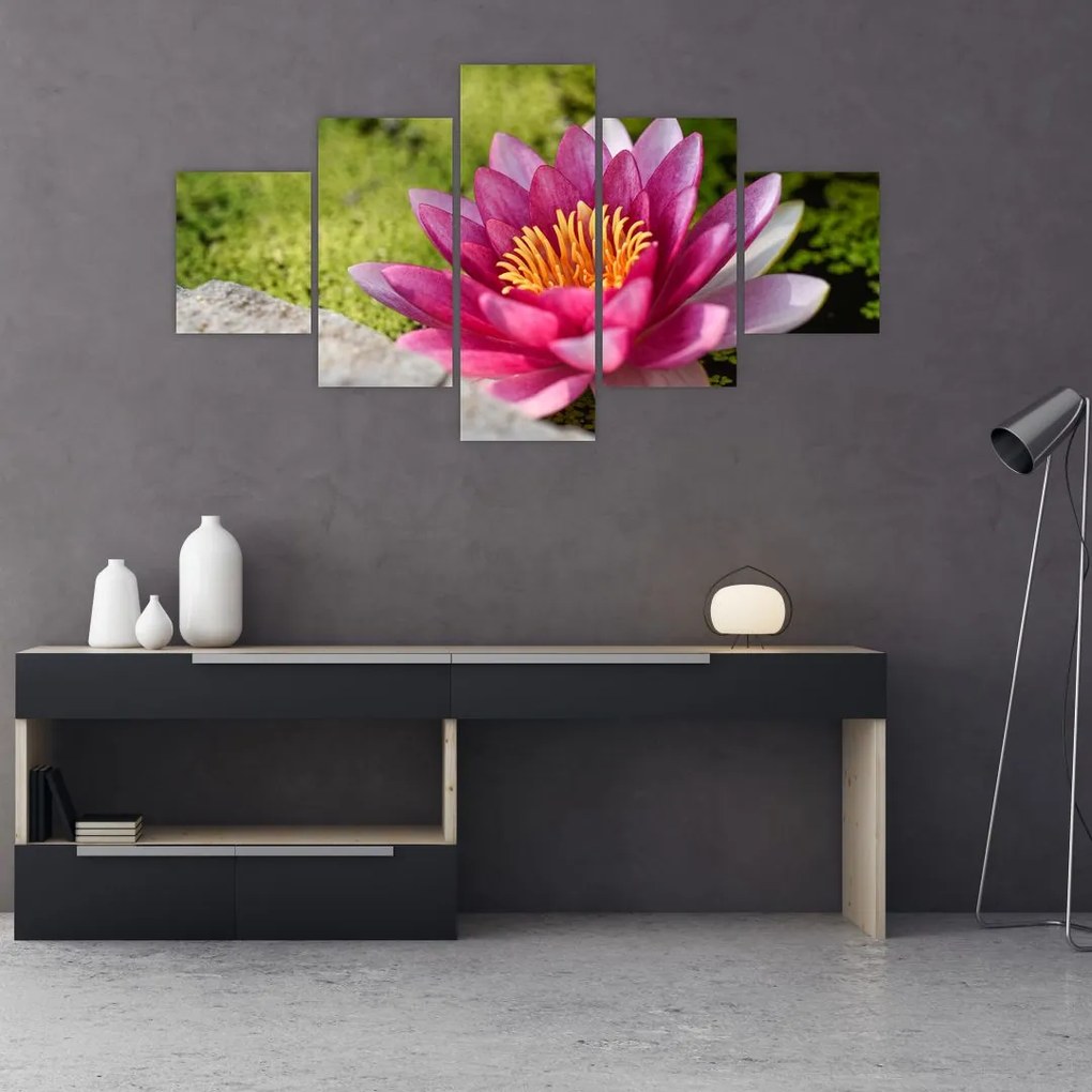 Tablou - Lotus (125x70 cm), în 40 de alte dimensiuni noi