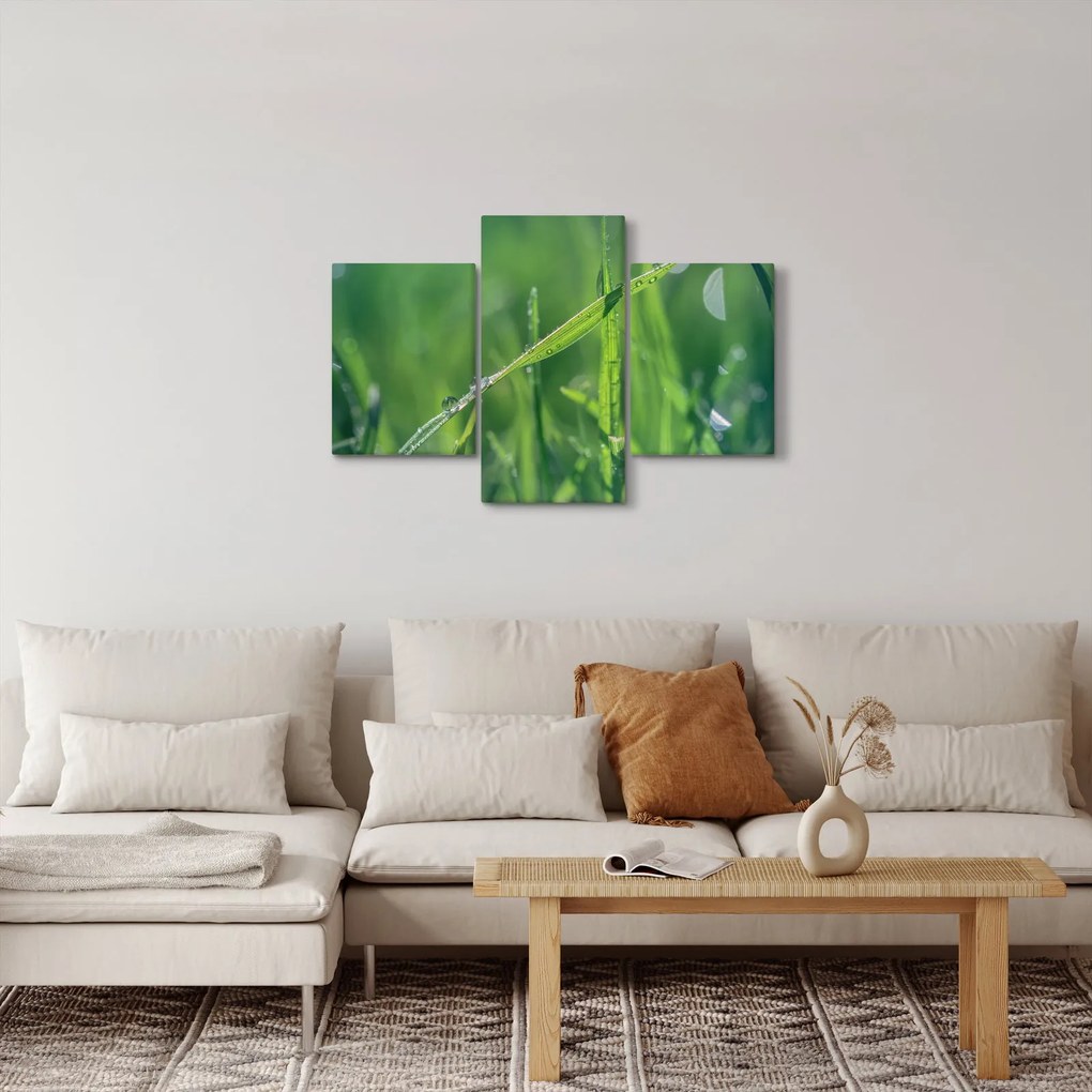 Tablou cu picături de rouă (90x60 cm)