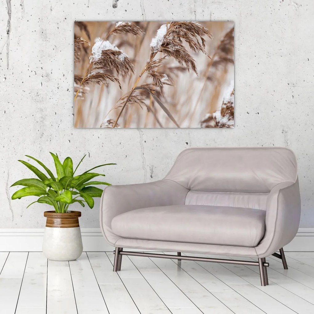 Tablou - Tei (90x60 cm)