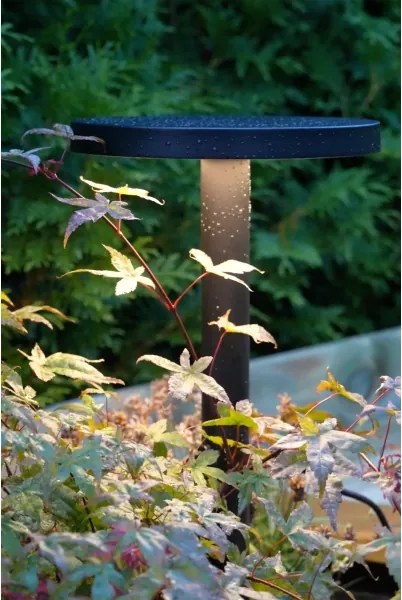 Markslöjd 108173 - Lampă LED de exterior GARDEN24 LED/5W/24V 75 cm IP44 neagră