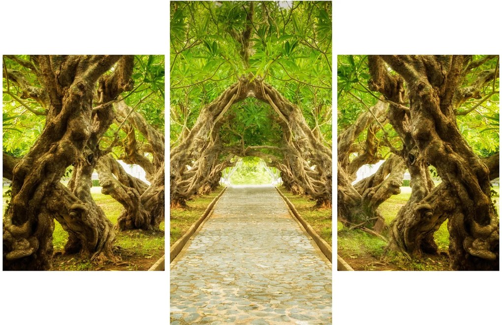 Tablou - Tunel viu din plumeria (90x60 cm)