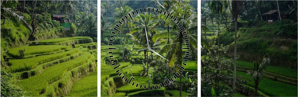 Tablou cu terasele cu orez Tegalalang, Bali (cu ceas) (90x30 cm)