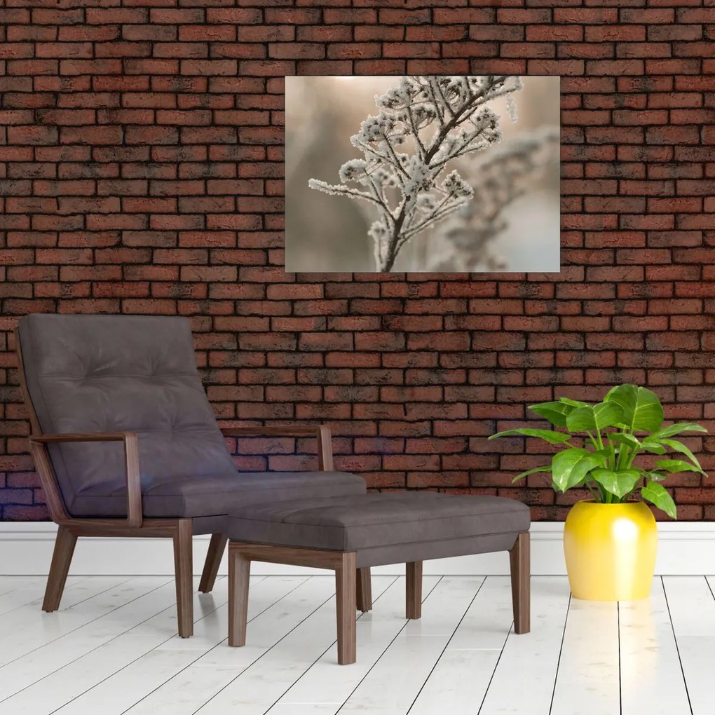 Tablou pe sticlă - Plantează în îngheț (70x50 cm)