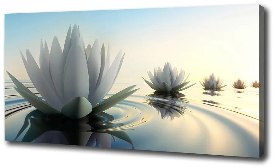 Tablou pe pânză canvas Floare de lotus