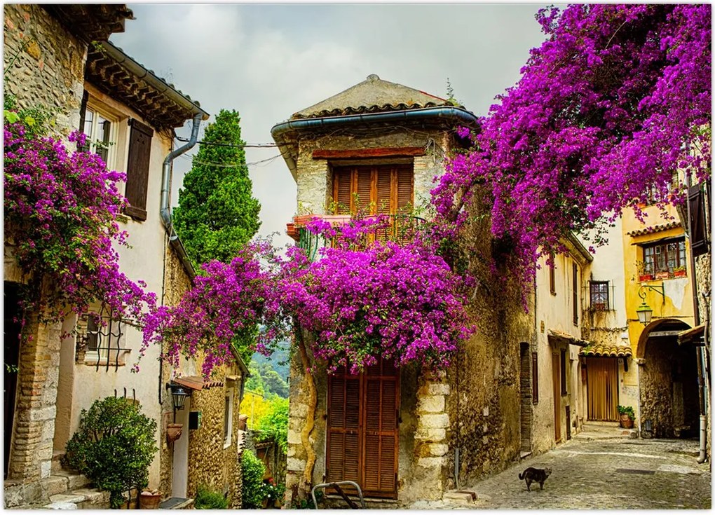 Tablou - Alee mediteraneană leneșă (70x50 cm)