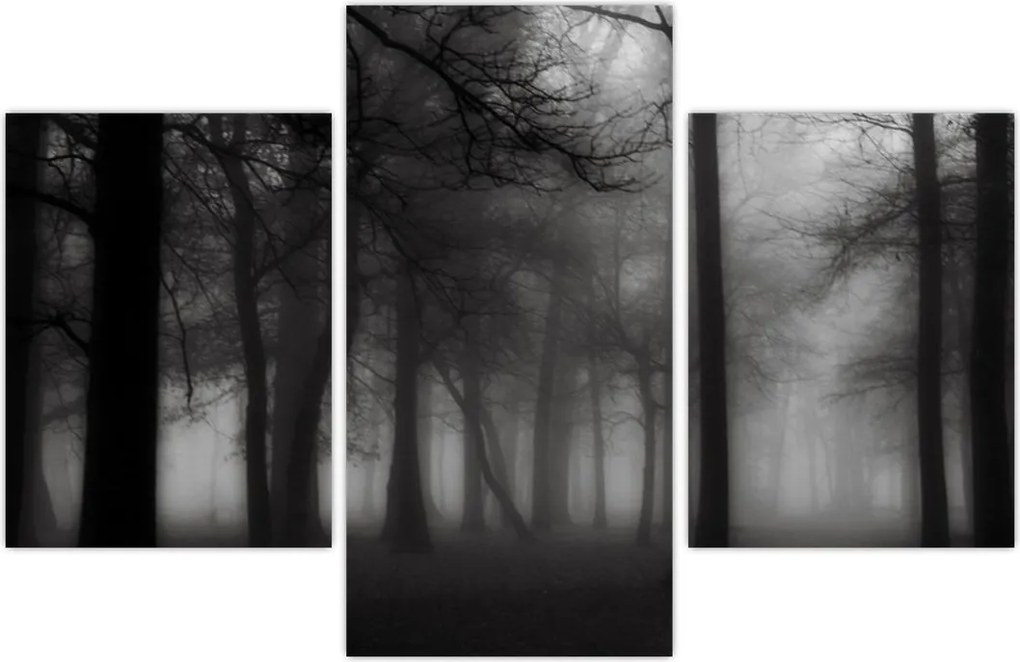 Tablou - Pădure în ceață (90x60 cm)