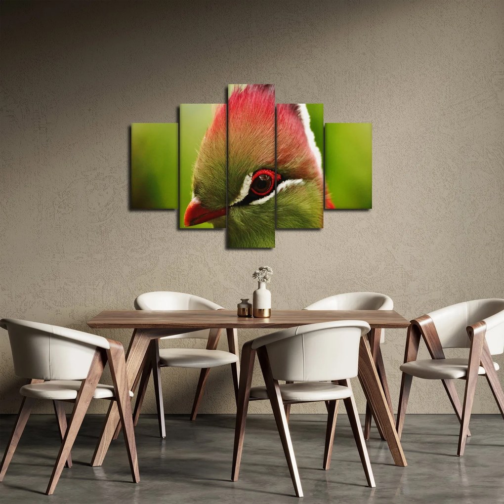 Tablou cu pasărea colorată (150x105 cm)