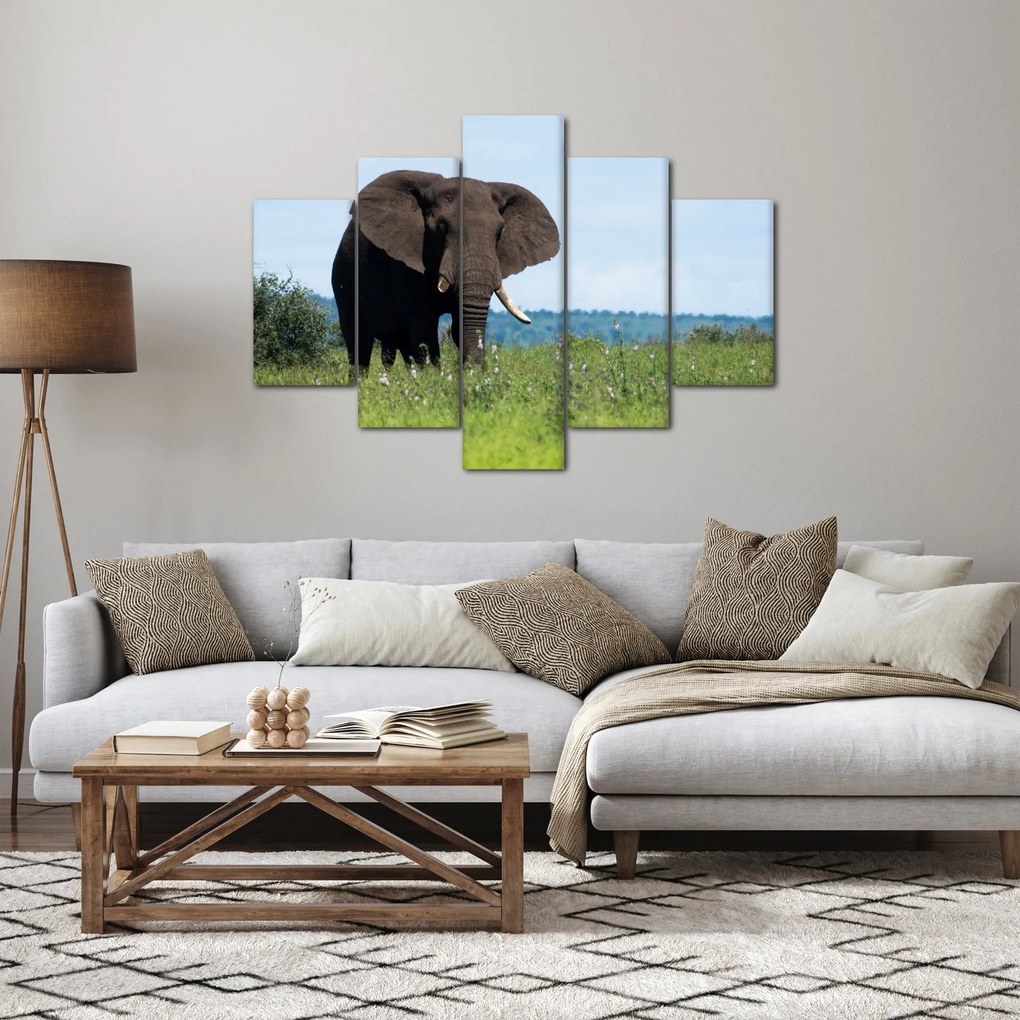 Tablou cu elefant (150x105 cm)