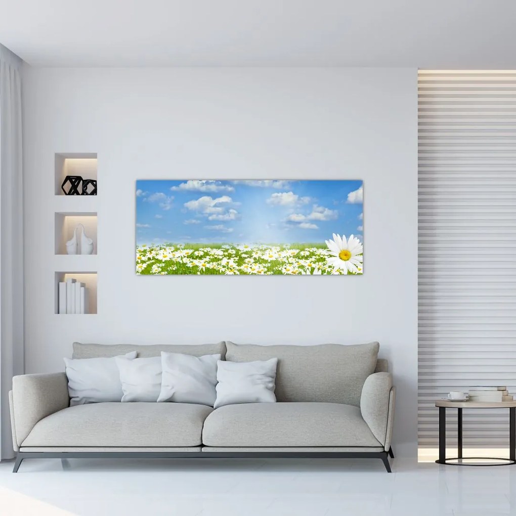 Tablou cu luncă înflorită cu margarete (120x50 cm)
