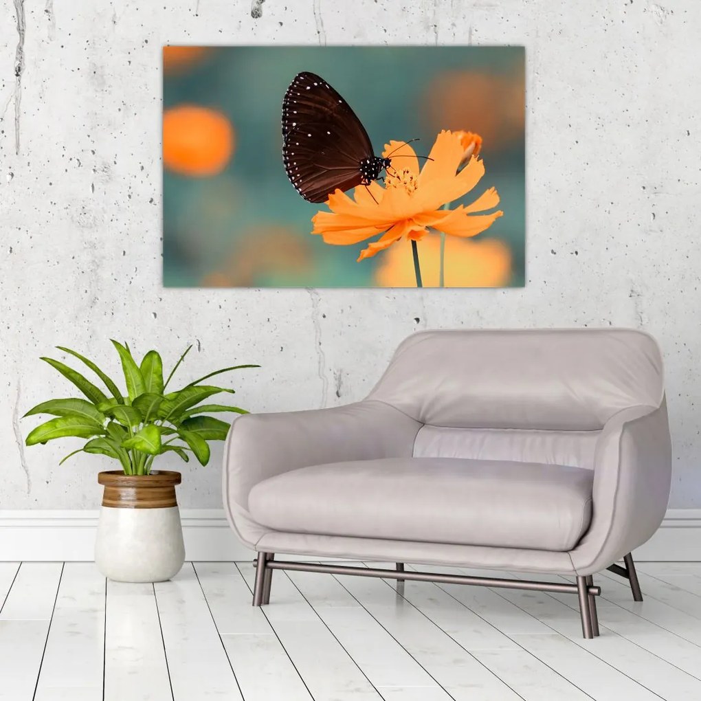 Tablou - fluture pe o floare portocalie (90x60 cm)