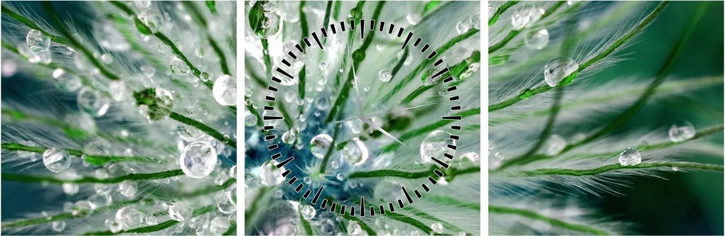 Tablou - Imagine macro a unei flori (cu ceas) (90x30 cm)