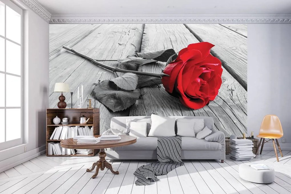 Fototapet - Trandafir (152,5x104 cm)